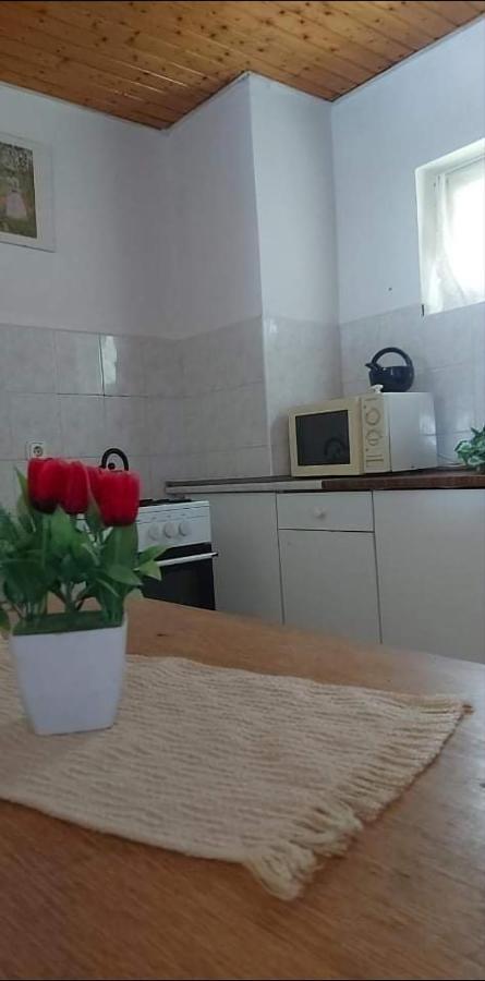 Badacsonyi Pihenes Privat Berlemeny Hotel Badacsonytomaj Exterior foto